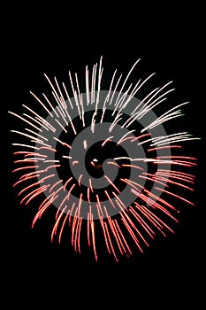 Beautiful fireworks on the black sky background