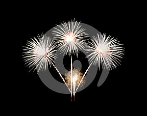 Beautiful fireworks display isolated on black background for celebration and anniversary
