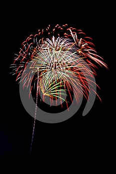 Beautiful fireworks display lights up the night time sky