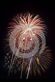 Beautiful fireworks display lights up the night time sky