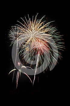 Beautiful fireworks display lights up the night time sky