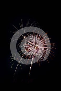 Beautiful fireworks display lights up the night time sky