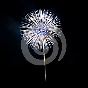 Beautiful fireworks display.