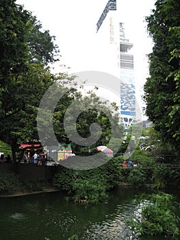 Beautiful fish pond in Kowloon park, Hong Kong