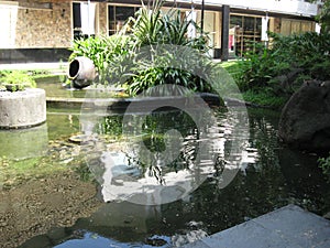 A beautiful fish pond at Makati Greenbelt park, Makati city