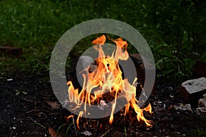 Beautiful flame of fire on a green background of grass