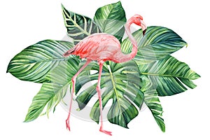 Beautiful flamingo bird and palm leaves, card, poster, tropical decoration watercolor illustration, botanical painting