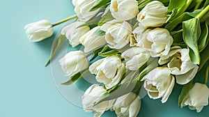 Beautiful floral background with white tulips on pastel blue background. Banner template for women\'s mother\'s day