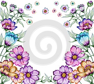 Beautiful floral border. Colorful cosmos flowers with green leaves on white background. Square frame with space for a text.