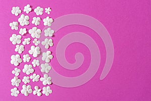 Beautiful floral border made of fresh white snowball flowers on bright pink background. Spring or summer natural backdrop, flat