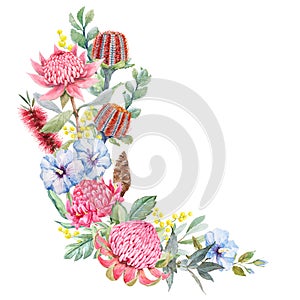 Beautiful floral composition with hand drawn watercolor protea banksia and other australian flowers. Stock illustration.