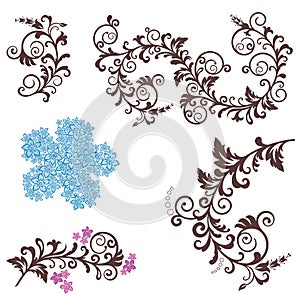 Beautiful floral design elements