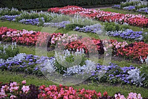 Beautiful Floral flowerbed