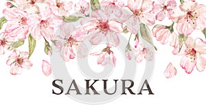 Beautiful floral frame features watercolor pink cherry blossoms. Elegant botanical border with sakura flowers