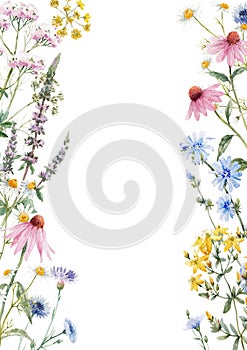 Beautiful floral frame with watercolor hand drawn summer wild field flowers. Stock illustration. Clip art.