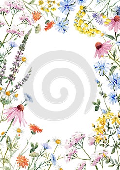 Beautiful floral frame with watercolor hand drawn summer wild field flowers. Stock illustration. Clip art.