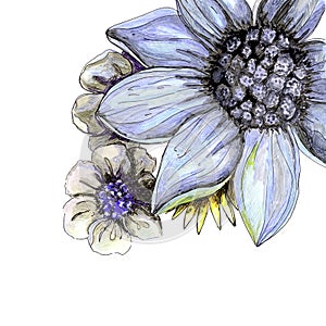 Beautiful floral hand drawn watercolor bouquet with violet daisy and gray flowers, isolated on white background