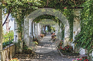 Beautiful floral passage with columns and plants overhead in garden in Anacapri, capri island, Italy