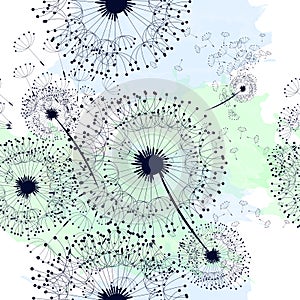 Beautiful floral pattern dandelions