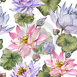 Beautiful floral seamless pattern. Large pink and purple lotus flowers with leaves on white background. Hand drawn illustration.