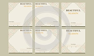 beautiful floral social media template. suitable for social media post, web banner, cover and card