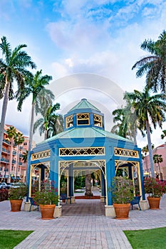 Beautiful Florida city center with palm trees.