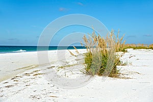 Beautiful Florida Coastline