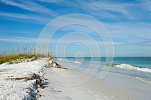 Beautiful Florida Coastline