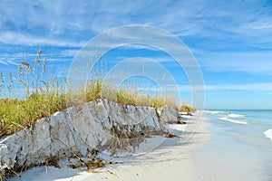 Beautiful Florida Coastline