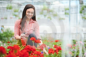 Beautiful florist at flower shop. Woman working in floral shop with copy space. Successful florist smiling