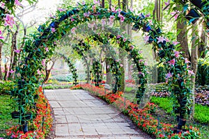 Beautiful flower arches with walkway in ornamental plants garden