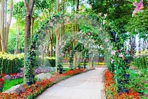 Beautiful flower arches with walkway in ornamental plants garden