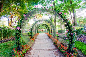 Beautiful flower arches with walkway in ornamental plants garden