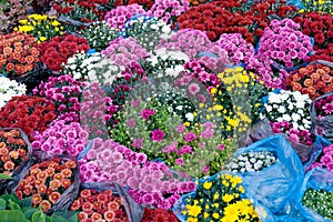 Beautiful flower arrangement, blossom store photo