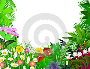 Beautiful flower background