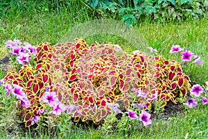 Beautiful flower bed in the park `Love and Fidelity`. Historically restored park, in the style of the 19th century, on the high ba