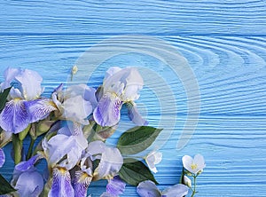 Beautiful flower blossom of iris on a blue wooden background