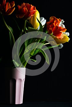 Beautiful flower bouquet of colorful tulips in pink vase on black background