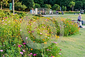 The beautiful flower clusters of Boai Garden at dusk