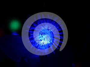 Beautiful flower colorful LED light decoration template for festival.