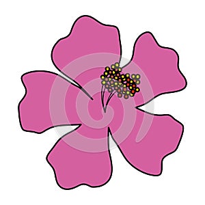 beautiful flower exotic tropical icon