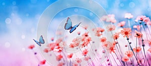 Beautiful flower field and flying butterflies on blue sky background. Colorful toning of amazing nature landscape with wild plants photo