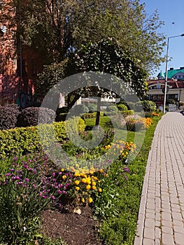 Beautiful flower garden across the Byala river