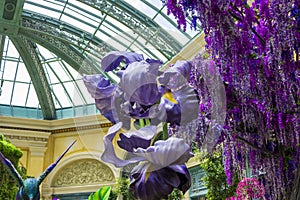 a beautiful flower garden at Bellagio Conservatory and Botanical Gardens with colorful flowers and lush green trees