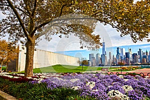 Beautiful flower garden in flag formation by 9 11 memorial in New Jersey overlooking New York City skyline by tree