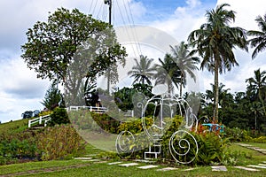Beautiful flower garden at Quezon Province