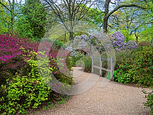 Beautiful flower garden in Richmond Park in spring season