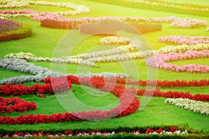 Beautiful flower garden in Schonbrunn palace - Vienna Austria