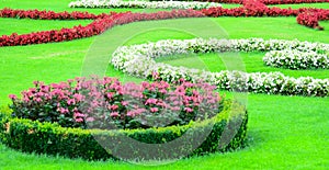 Beautiful flower garden in Schonbrunn palace - Vienna Austria