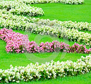 Beautiful flower garden in Schonbrunn palace - Vienna Austria